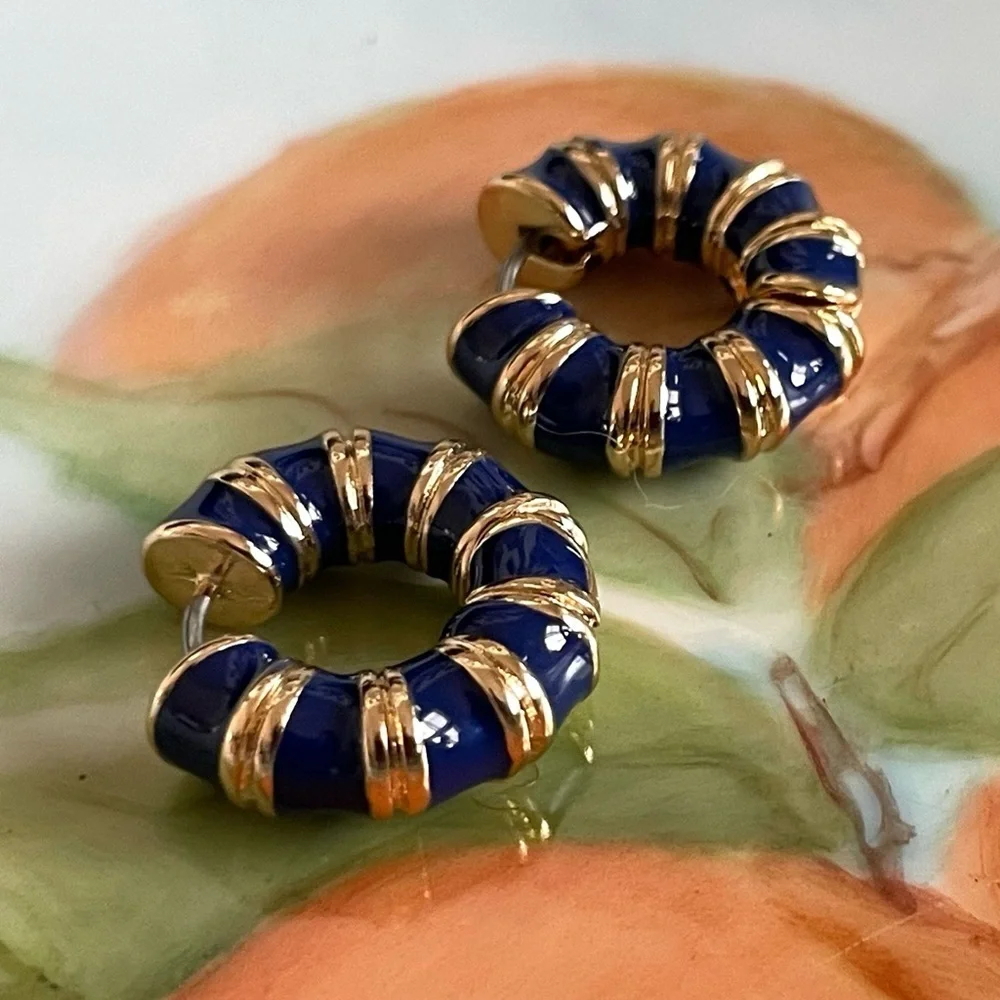 ✨Anthropologie Collins Earrings